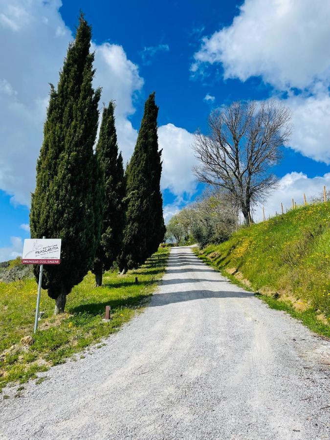 Agriturismo Fraschetta Montalcino Ngoại thất bức ảnh