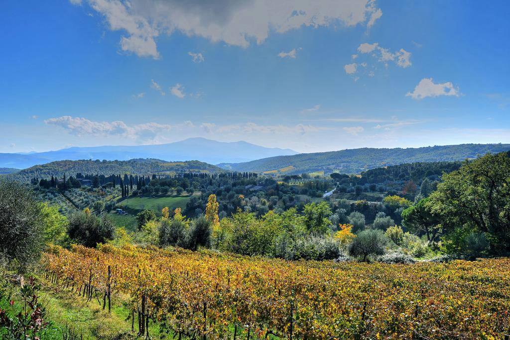 Agriturismo Fraschetta Montalcino Ngoại thất bức ảnh