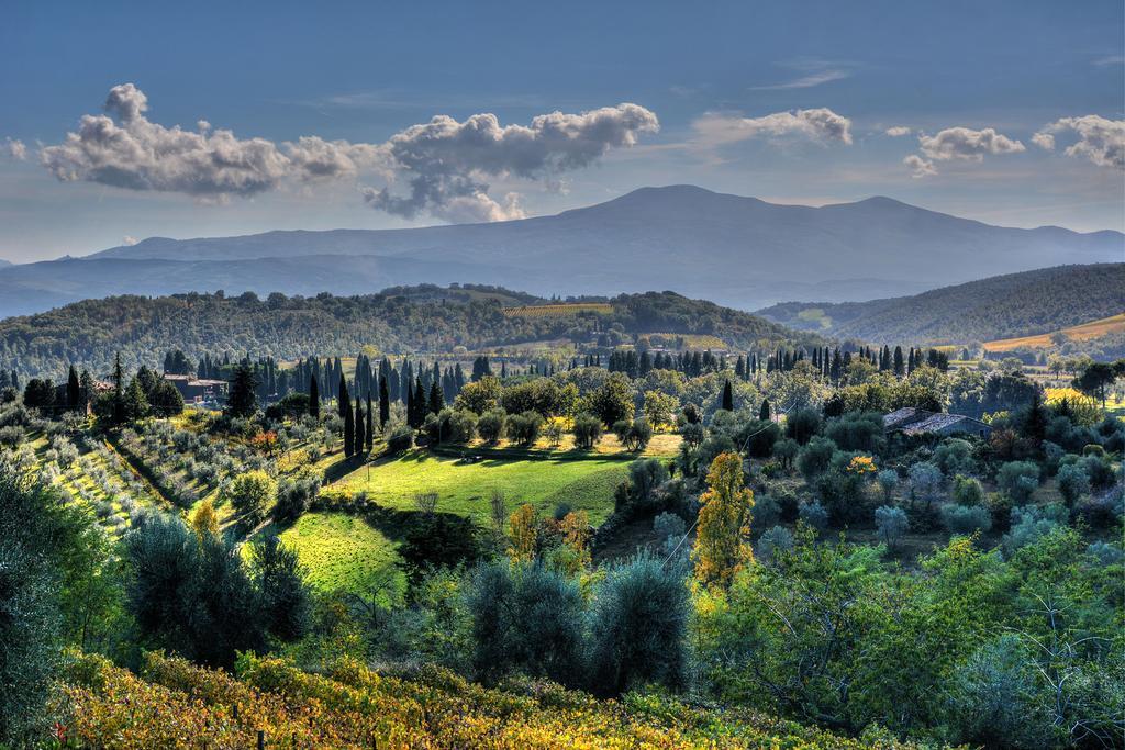 Agriturismo Fraschetta Montalcino Ngoại thất bức ảnh