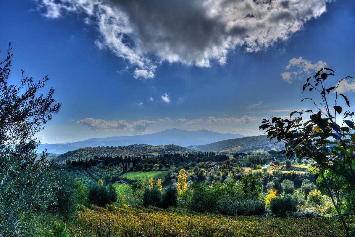 Agriturismo Fraschetta Montalcino Ngoại thất bức ảnh